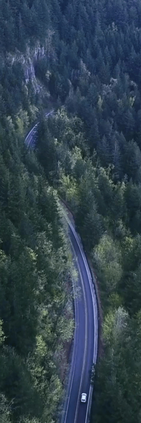 Car driving along a long wooded road | digital marketing strategy